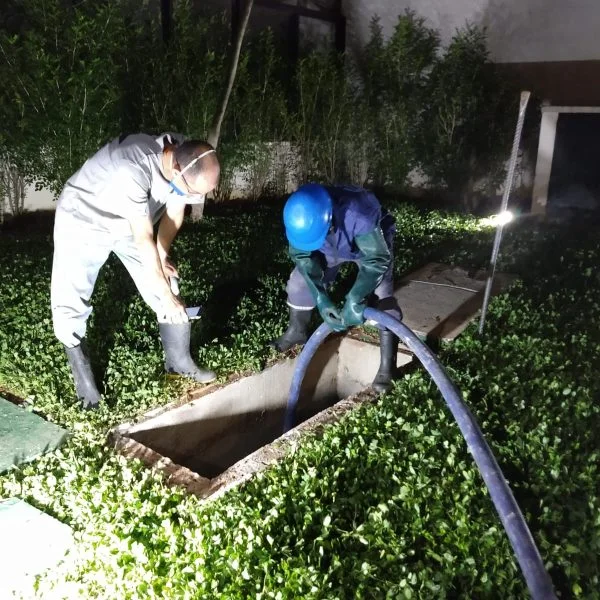 Tecnologia e Eficiência