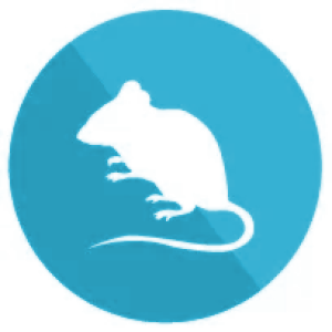 ico4